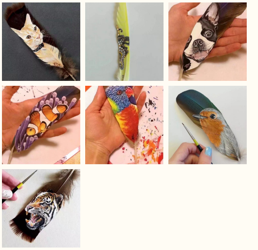 QQ图片20171011161835