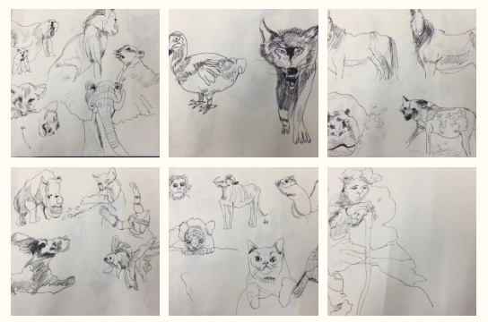 QQ图片20171116150253