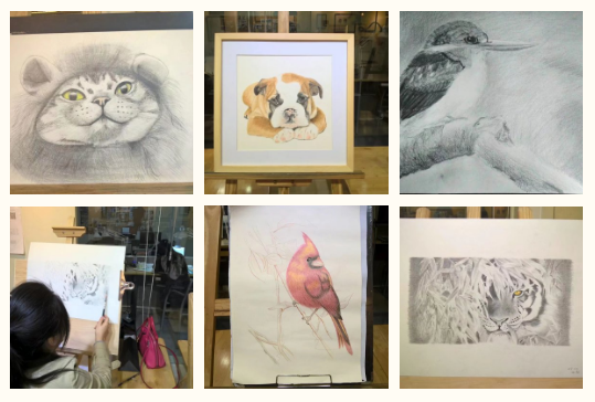 QQ图片20171116154453