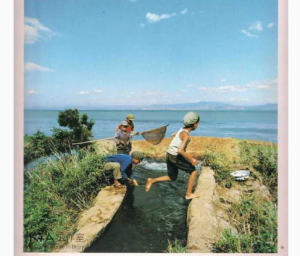 QQ截图20171129172602