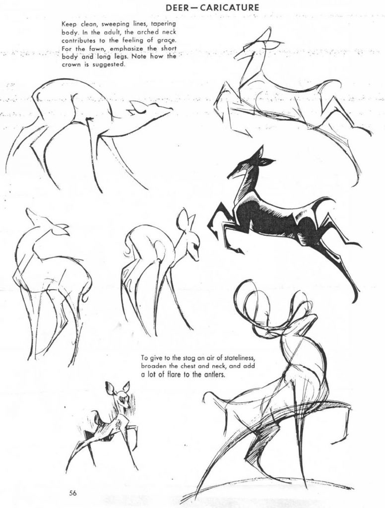 如何画动物 (5)