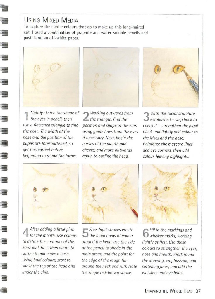 如何画猫 (6)