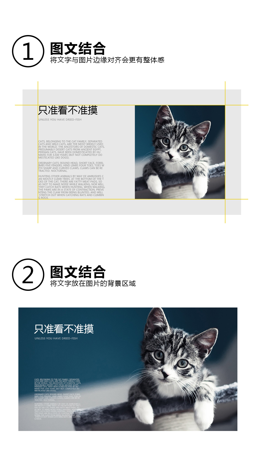 简单实用的文字排版技巧 - 极典美育