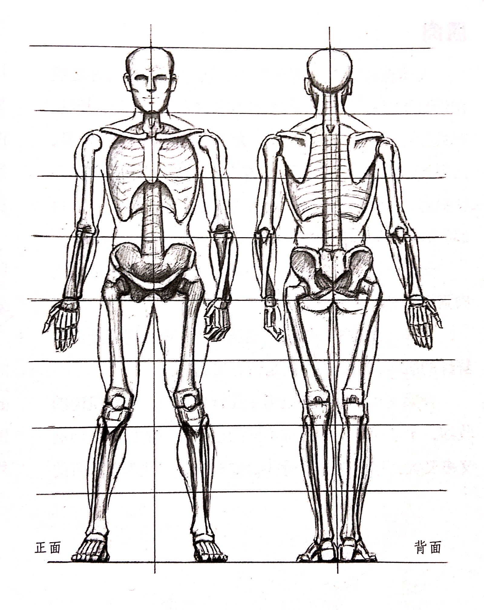 人体医疗组织器官手掌穴位示意图科普插画图片-千库网